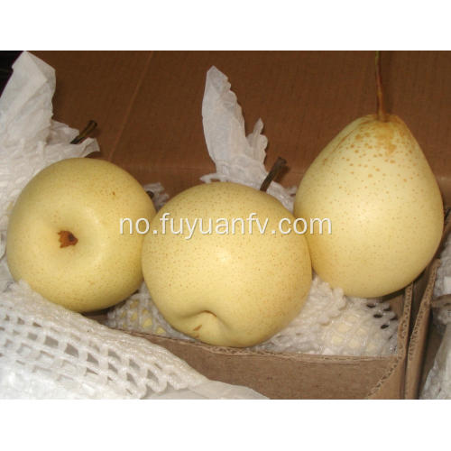 Deilig frisk frukt Ya Pear New Crop Pears